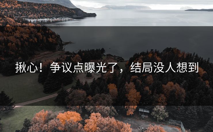 揪心！争议点曝光了，结局没人想到