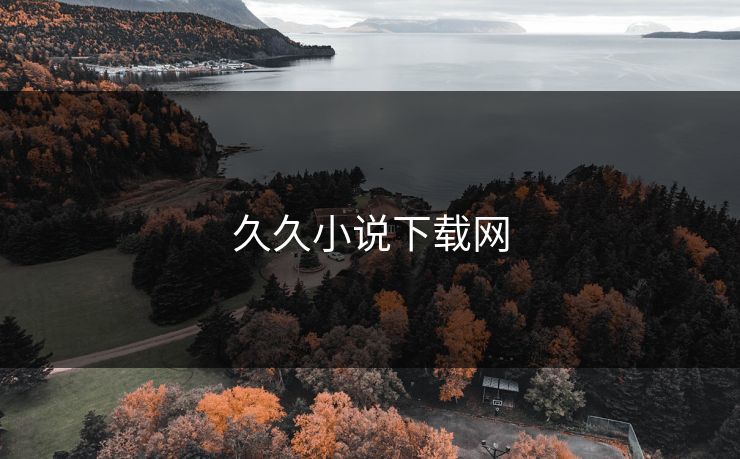 久久小说下载网